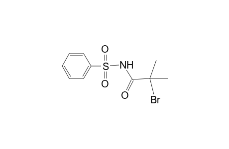 N-(2-Bromo-2-methylpropanoyl)benzenesulfonamide