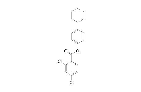 2,4-DICHLOROBENZOIC ACID, p-CYCLOHEXYLPHENYL ESTER