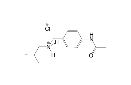 N-[4-(acetylamino)benzyl]-2-methyl-1-propanaminium chloride