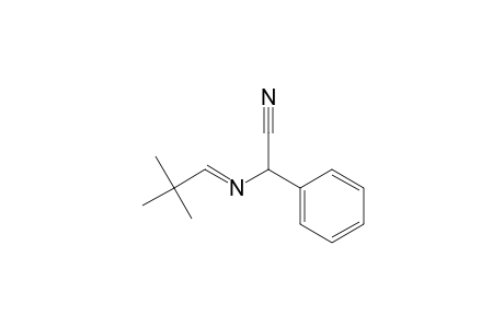 Benzeneacetonitrile, .alpha.-[(2,2-dimethylpropylidene)amino]-