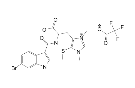 LEPTOCLINIDAMINE-C