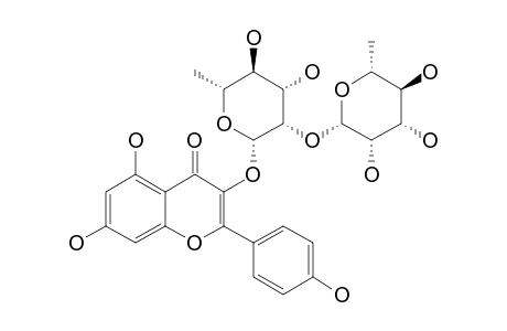 KAEMPFEROL-3-O-ALPHA-L-RHAMNOPYRANOSYL-(1->2)-ALPHA-L-RHAMNOPYRANOSIDE