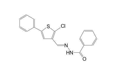 benzoic acid, 2-[(E)-(2-chloro-5-phenyl-3-thienyl)methylidene]hydrazide