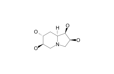 (1R,2S,6R,7R,8AS)-1,2,6,7-TETRAHYDROXYINDOLIZIDINE