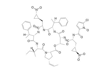 (13)C-LABELED-HORMAOMYCIN