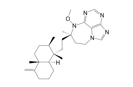 ASMARINE-G