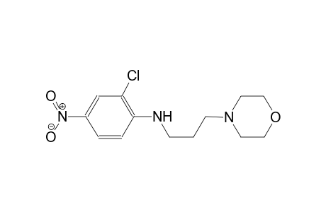 4-morpholinepropanamine, N-(2-chloro-4-nitrophenyl)-