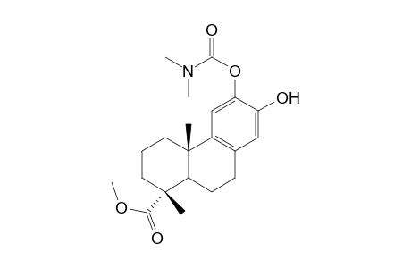 methyl 12-N,N-dimethylcarbamoyloxy-13-hydroxypodocarpa-8,11,13-trien-15-oate