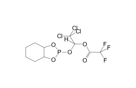 PYROCATECHINE-O-(ALPHA-TRIFLUOROACETOXY-BETA,BETA,BETA-TRICHLOROETHYL)PHOSPHITE