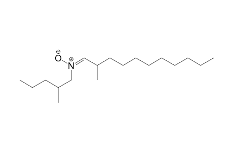 (E)-2-methyl-N-(2-methylpentyl)undecan-1-imine oxide