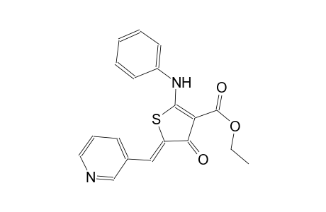 ethyl (5Z)-2-anilino-4-oxo-5-(3-pyridinylmethylene)-4,5-dihydro-3-thiophenecarboxylate