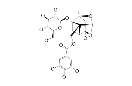8-O-GALLOYL-DESBENZOYLPAEONIFLORIN