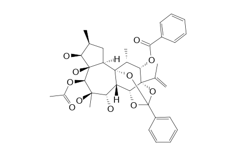 TRIGONOTHYRIN-F
