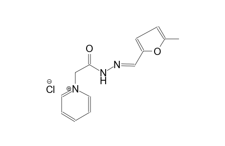 pyridinium, 1-[2-[(2E)-2-[(5-methyl-2-furanyl)methylene]hydrazino]-2-oxoethyl]-, chloride
