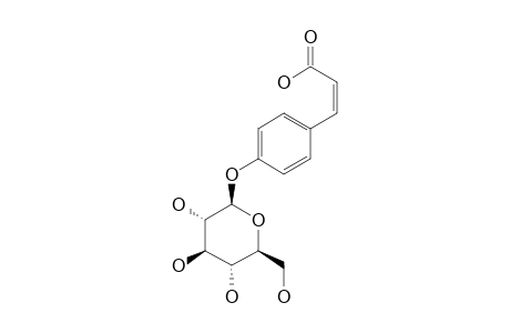 CIS-PARA-COUMARIC-ACID-4-O-BETA-D-GLUCOPYRANOSIDE