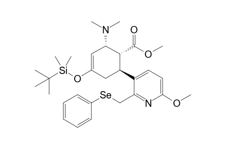 (1R*,2S*,6S*)-1-Methoxycarbonyl-4-(tert-butyldimethylsilyloxy)-2-(N,N-dimethylamino)-6-[6'-methoxy-2'-(phenylselenylmethyl)pyridine-3'-yl]cyclohex-3-ene