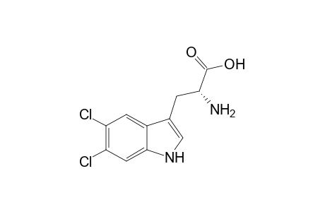 (2R)-2-amino-3-(5,6-dichloro-1H-indol-3-yl)propanoic acid