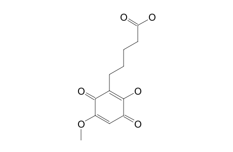 4-(2'-HYDROXY-5'-METHOXY-3',6'-DIOXOCYClOHEXA-1',4'-DIENYL)-BUTANOIC-ACID