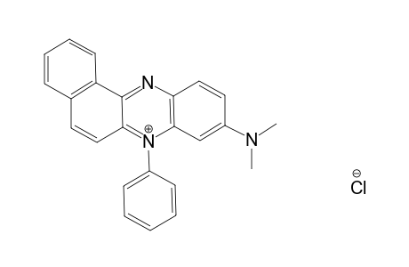 Benzo[a]phenazinium, 9-(dimethylamino)-7-phenyl-, chloride
