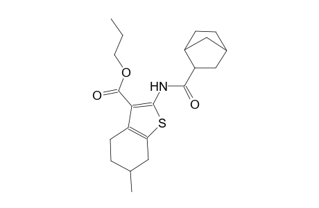 propyl 2-[(bicyclo[2.2.1]hept-2-ylcarbonyl)amino]-6-methyl-4,5,6,7-tetrahydro-1-benzothiophene-3-carboxylate