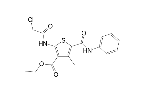 Ethyl 2-(2-chloroacetamido)-4-methyl-5-(phenylcarbamoyl)thiophene-3-carboxylate