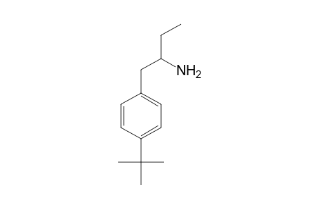 1-(4-tert-Butylphenyl)butan-2-amine