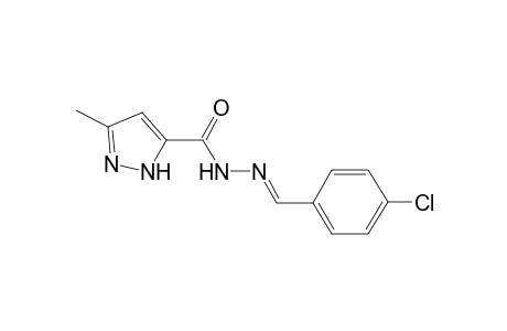 Pyrazole-5-carbohydrazide, 3-methyl-N2-(4-chlorobenzylideno)-