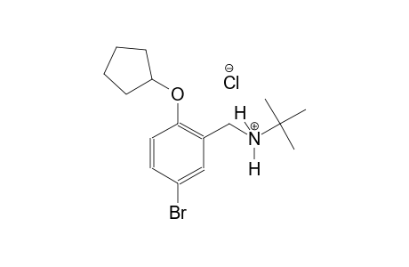 N-[5-bromo-2-(cyclopentyloxy)benzyl]-2-methyl-2-propanaminium chloride
