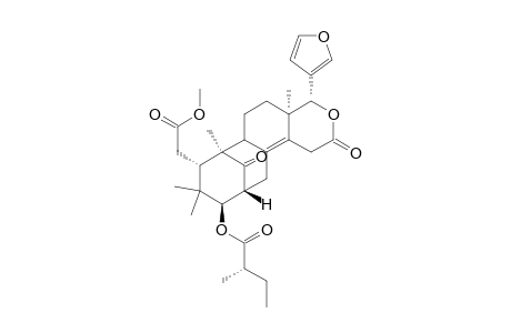 2'S-Methylbutanoylproceranolide