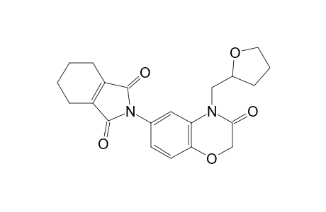 1H-Isoindole-1,3(2H)-dione, 2-[3,4-dihydro-3-oxo-4-[(tetrahydro-2-furanyl)methyl]-2H-1,4-benzoxazin-6-yl]-4,5,6,7-tetrahydro-