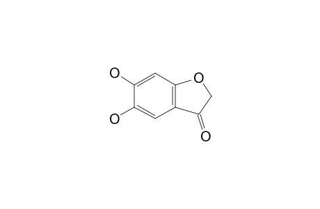 Benzo[B]tetrahydrofuran-3-one, 5,6-dihydroxy-