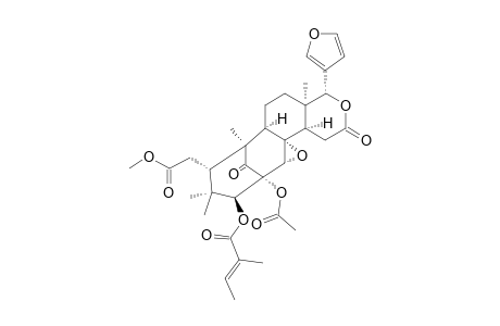 SWIETEMACROPHIN