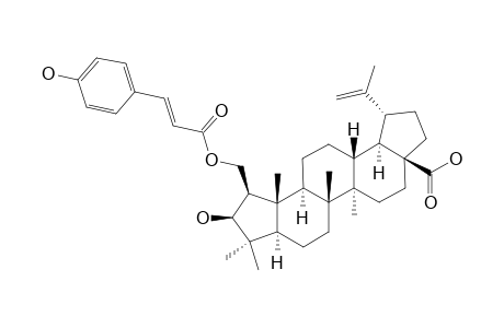 2-O-(TRANS-PARA-COUMAROYL)-CEANOTHANOLIC-ACID