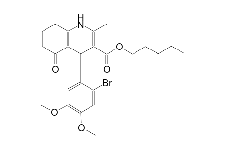 pentyl 4-(2-bromo-4,5-dimethoxyphenyl)-2-methyl-5-oxo-1,4,5,6,7,8-hexahydro-3-quinolinecarboxylate