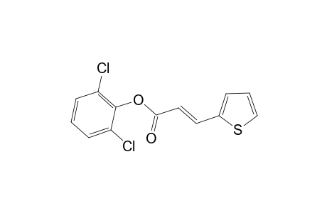 2,6-Dichlorophenyl (2E)-3-(2-thienyl)-2-propenoate