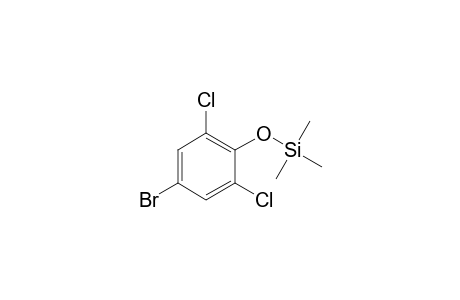 4-Bromo-2,6-dichlorophenol,o-trimethylsilyl