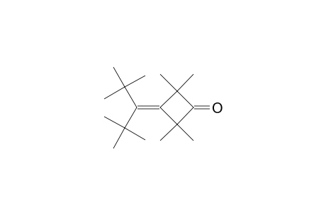 Cyclobutanone, 3-[1-(1,1-dimethylethyl)-2,2-dimethylpropylidene]-2,2,4,4-tetramethyl-
