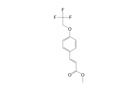 (E)-METHYL-3-[4-(2',2',2'-TRIFLUOROETHOXY)-PHENYL]-PROP-2-ENOATE