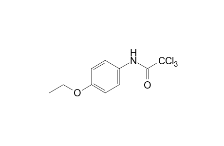 2,2,2-trichloro-p-acetophenetidide