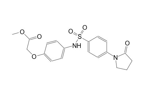 methyl [4-({[4-(2-oxo-1-pyrrolidinyl)phenyl]sulfonyl}amino)phenoxy]acetate