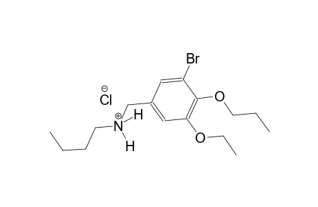 N-(3-bromo-5-ethoxy-4-propoxybenzyl)-1-butanaminium chloride