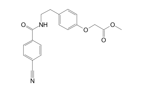 Methyl [p-[(2-(p-Cyanobenzamido)ethl]phenoxy]acetate
