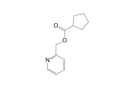 CYCLOPENTANECARBOXYLIC-ACID-2-PYRIDINYLMETHYLESTER