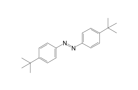 (E)-1,2-bis(4-tert-Butyl-phenyl)diazene