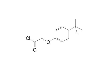 [4-(1,1-Dimethylethyl)phenoxy]acetyl chloride