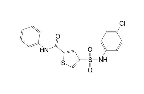 2-thiophenecarboxamide, 4-[[(4-chlorophenyl)amino]sulfonyl]-N-phenyl-