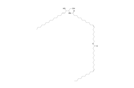Cer 18:1;2O/18:1;O(FA 21:1)