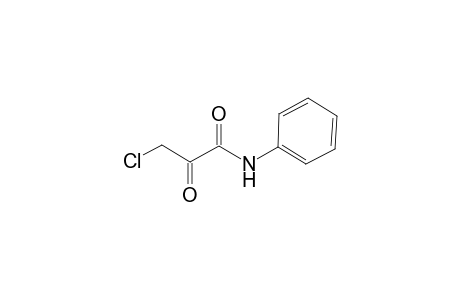 3-Chloro-2-oxo-N-phenylpropanamide