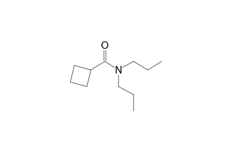 Cyclobutanecarboxamide, N,N-dipropyl-