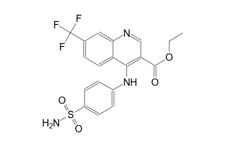 3-quinolinecarboxylic acid, 4-[[4-(aminosulfonyl)phenyl]amino]-7-(trifluoromethyl)-, ethyl ester